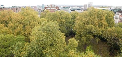 Capital vista from the Terrace